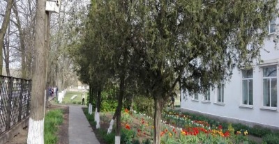 Золотобалківський ліцей Новоолександрівської сільської ради