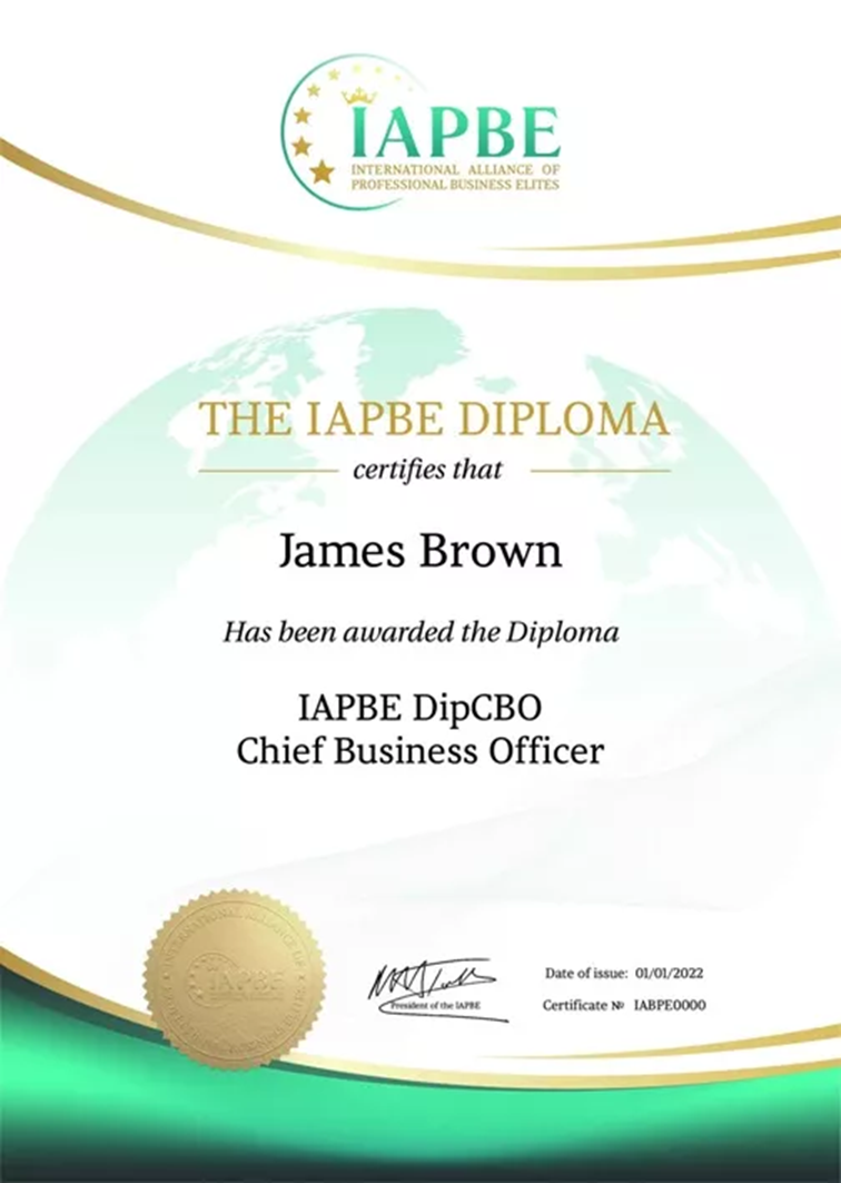 Директор з управління бізнесом, IAPBE #1