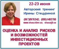Качественный и количественный анализ риска инвестиционного проекта