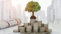 Зміни у відкритті та розпорядженні рахунками у банках