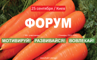 «Мотивируй! Развивайся! Вовлекай!» Как HR это делает