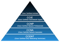 Программа курса "Cisco. CCENT"