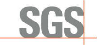 Тренинги SGS : тенденции, перспективы развития