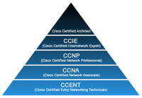 Программа курса "Cisco. CCENT"