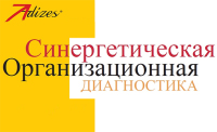 Синергетическая организационная диагностика или как узнать о самочувствии бизнеса?