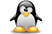 Большая ошибка Linux