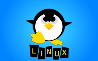 Локальная root-уязвимость в ядре Linux