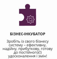 Найближчий "Бізнес-інкубатор" стартує вже 5 січня!