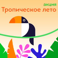 На TRN.ua уже греет «Тропическое лето»: скидка 20% на все пакеты услуг