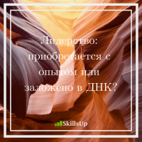 Лидерство: приобретается с опытом или заложено в ДНК?