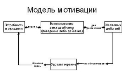 Управление человеческим капиталом: цели, методы, результаты