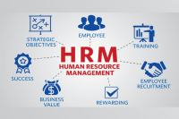 18-19 июля пройдет тренинг "HR-Менеджмент. Разработка и внедрение процедур управления персоналом"