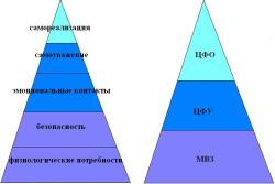 Финансовая ответственность внутри предприятия как метод мотивации персонала