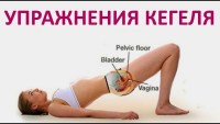 Упражнения для укрепления мышц тазового дна у женщин (упражнения Кегеля)