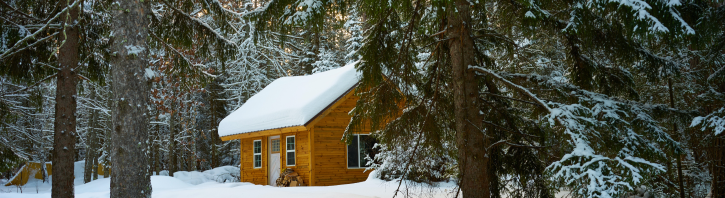 Winter Vocabulary: Як говорити про зиму англійською мовою