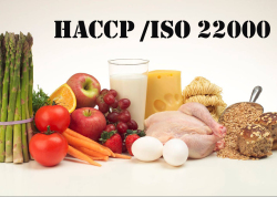 Внедрение HACCP/ ISO 22000 для пищевых предприятий