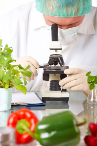 Системы управления безопасностью пищевых продуктов. Схема сертификации FSSC 22000