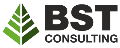 BST Consulting, консалтинговий центр